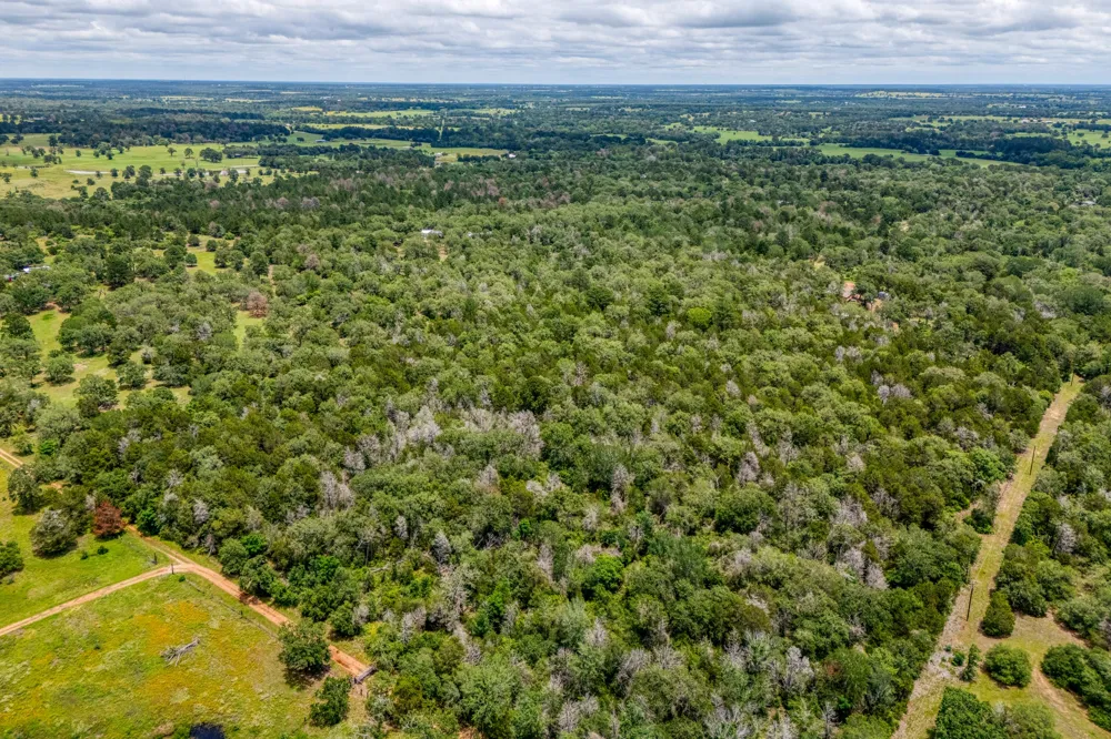 Pathfinders Way Smithville, TX 78957