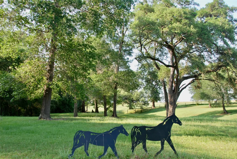 3545 E I 10 Frontage Road Schulenburg, TX 78956