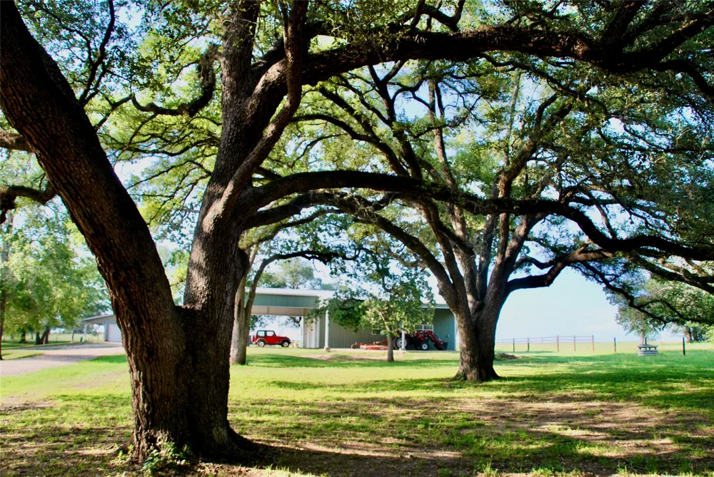 3545 E I 10 Frontage Road Schulenburg, TX 78956