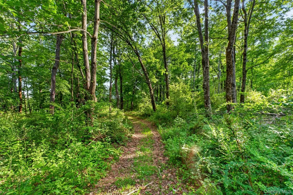 129 Mallory Road Verbank, NY 12585