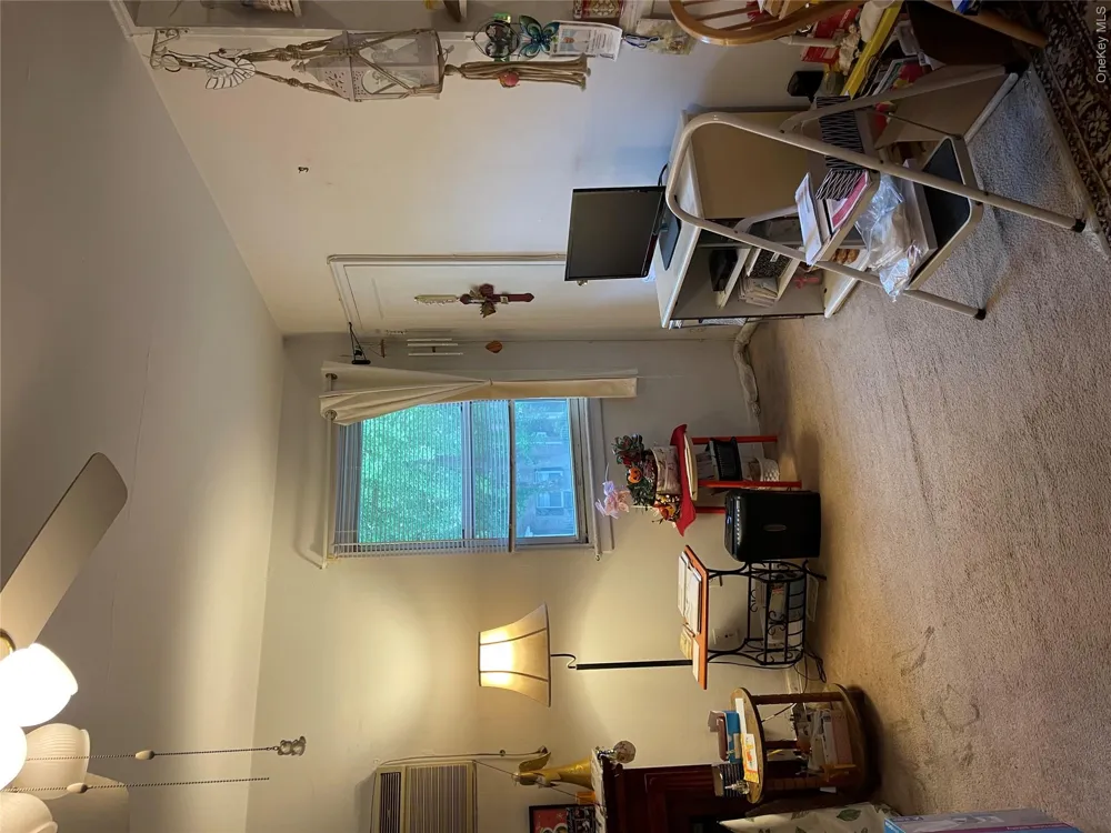 81-14 Langdale Street #249B New Hyde Park, NY 11040