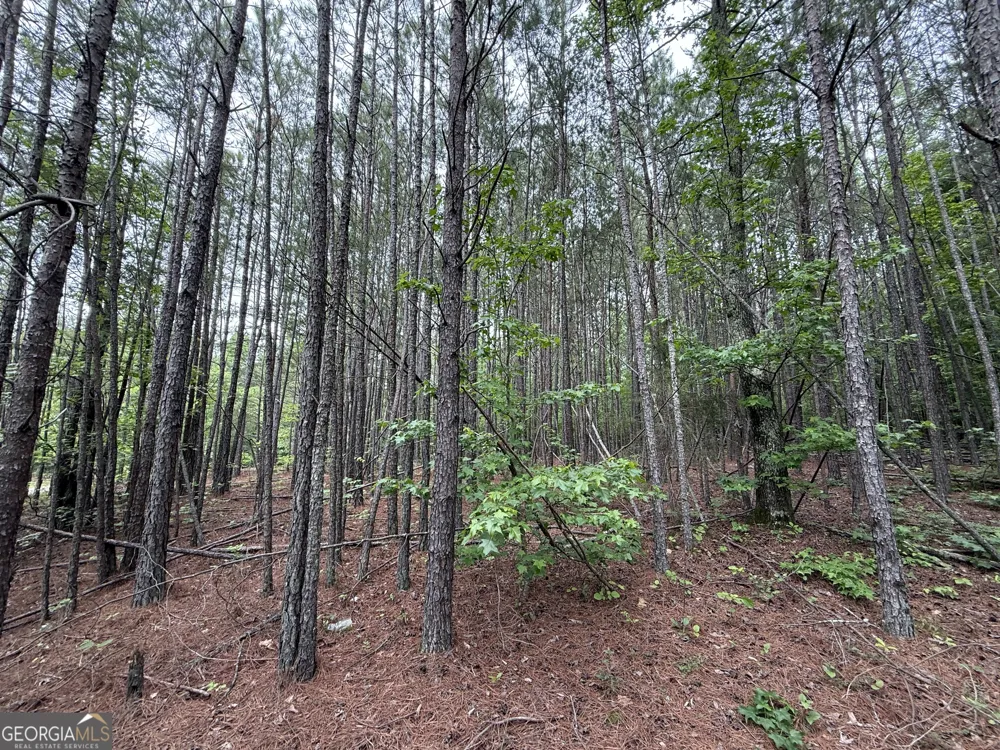 0 Natures Walk DR Rome, GA 30165