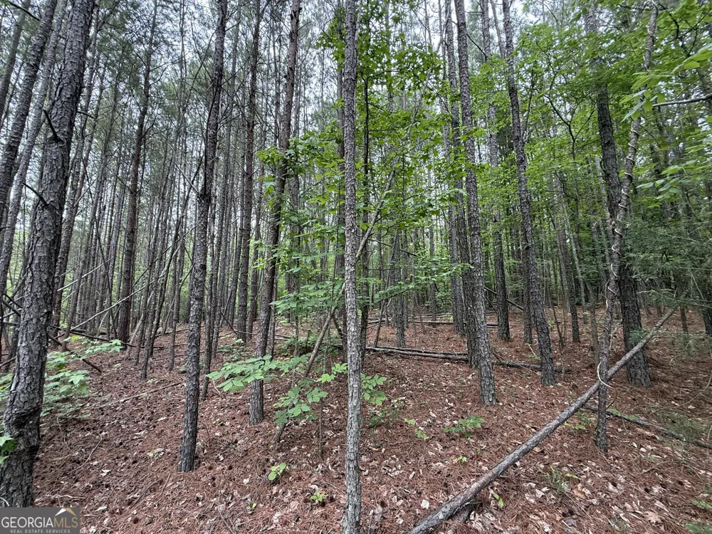 0 Natures Walk DR Rome, GA 30165
