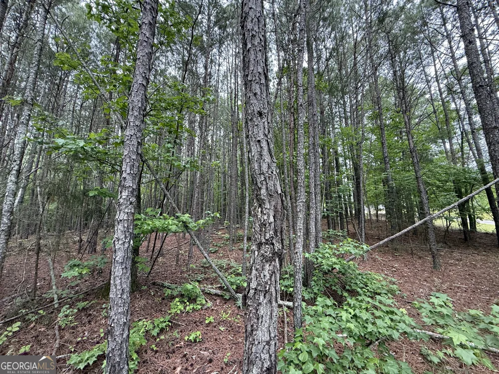0 Natures Walk DR Rome, GA 30165
