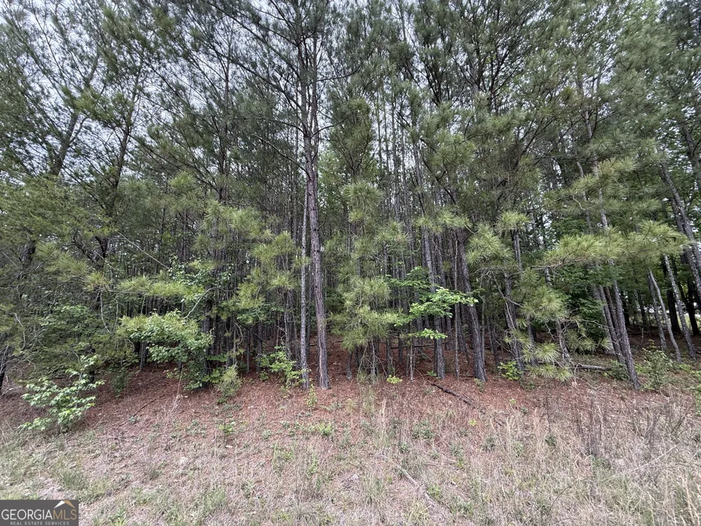 0 Natures Walk DR Rome, GA 30165