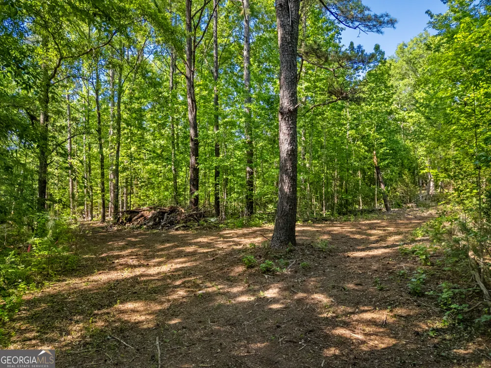 0 Oak RD Jenkinsburg, GA 30234
