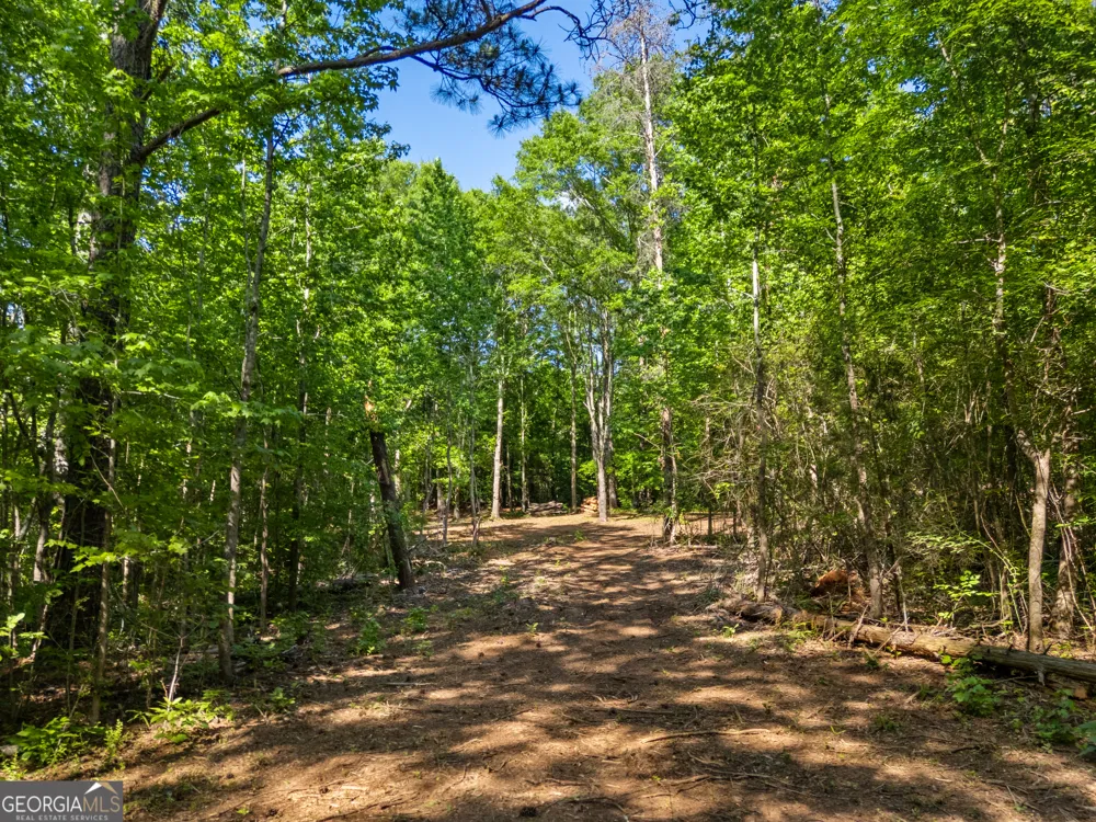 0 Oak RD Jenkinsburg, GA 30234