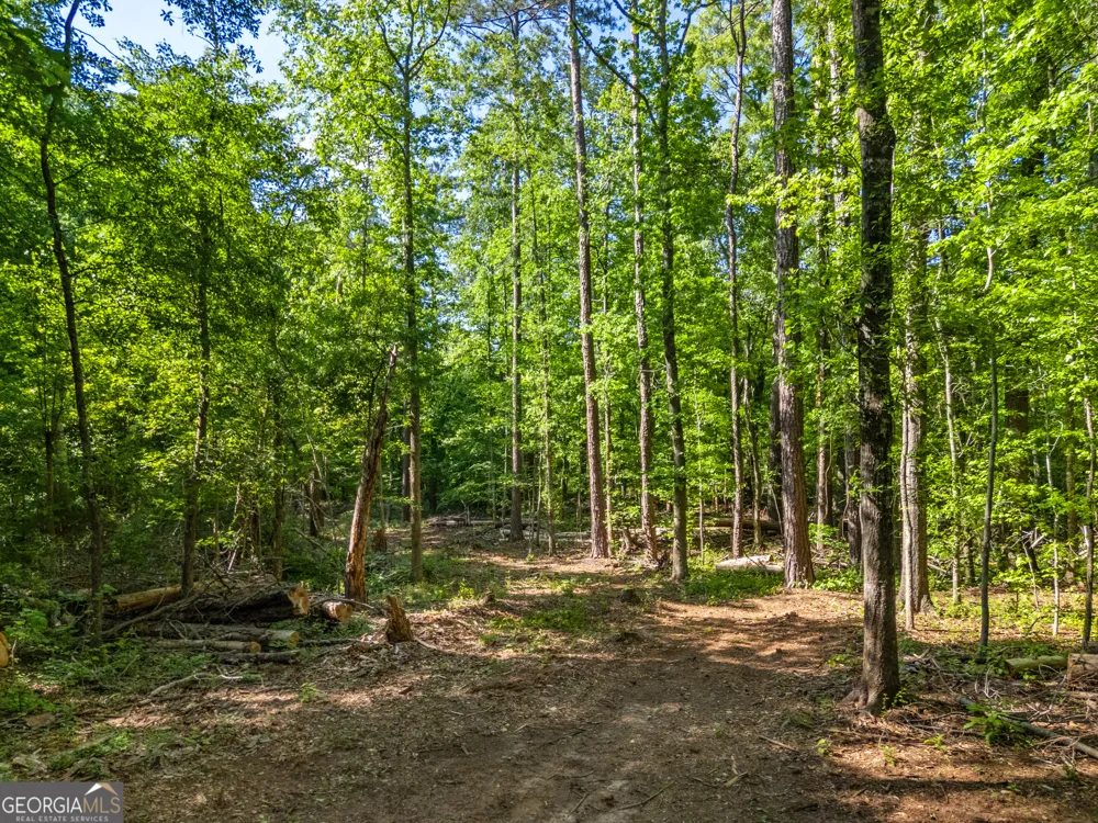 0 Oak RD Jenkinsburg, GA 30234