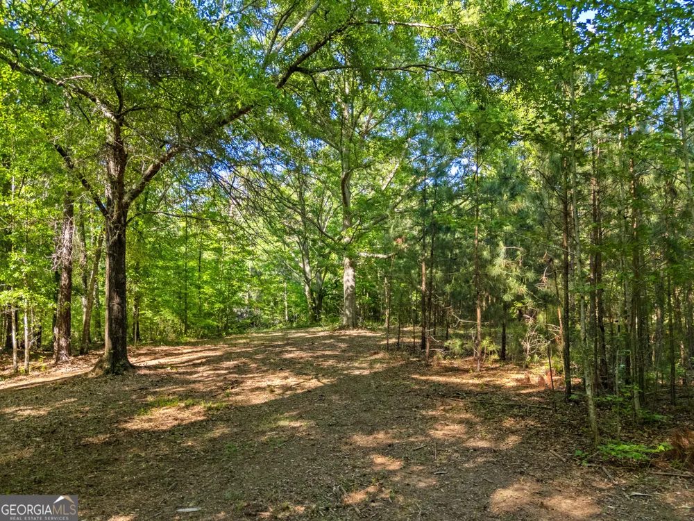 0 Oak RD Jenkinsburg, GA 30234
