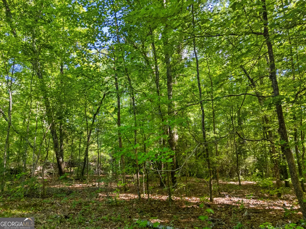 0 Oak RD Jenkinsburg, GA 30234