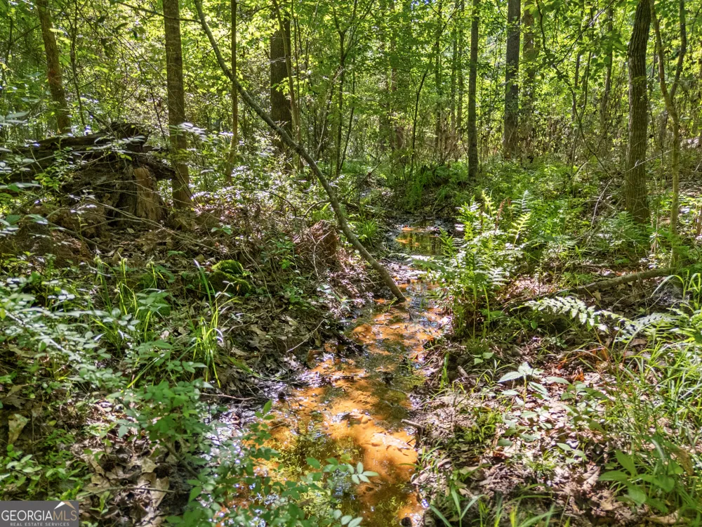 0 Oak RD Jenkinsburg, GA 30234