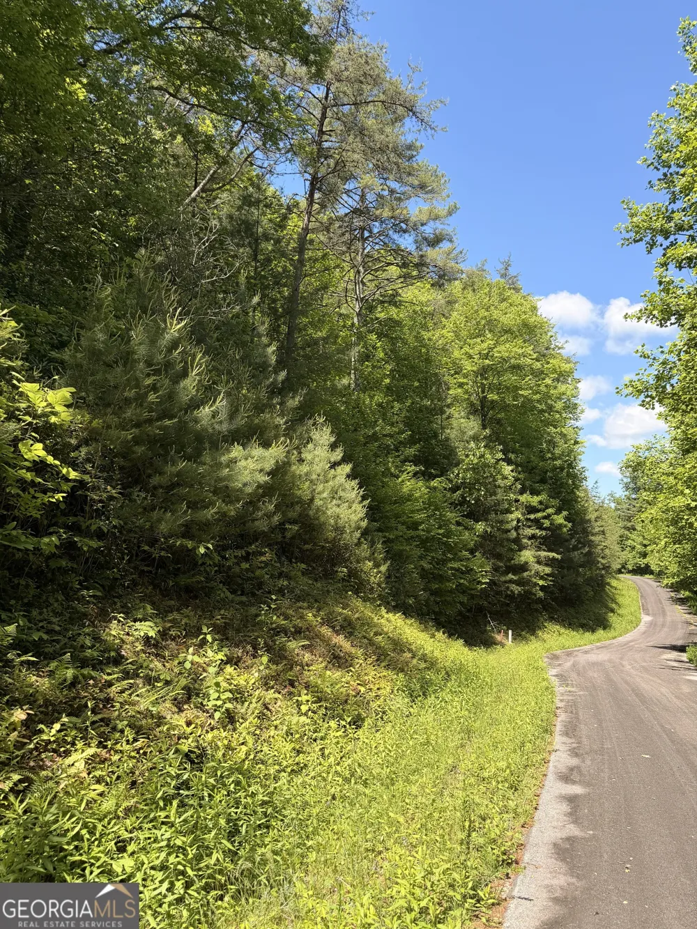 C Shake Hollow Rabun Gap, GA 30568