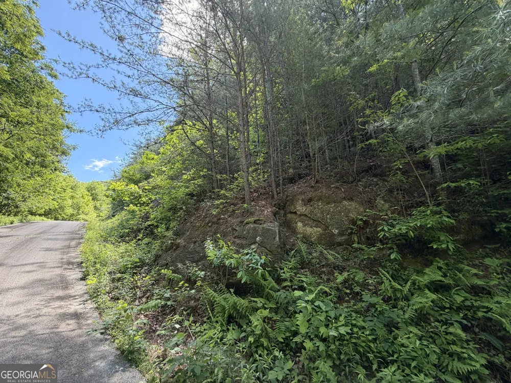 C Shake Hollow Rabun Gap, GA 30568