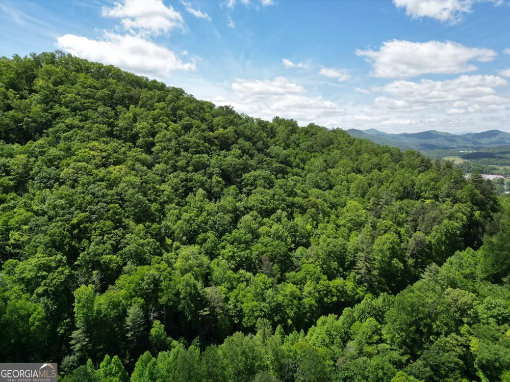A Shake Hollow Rabun Gap, GA 30568