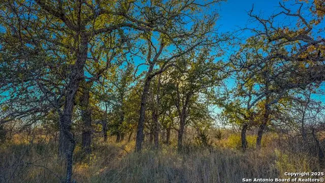 5040 W State Hwy 29 Mason, TX 76856