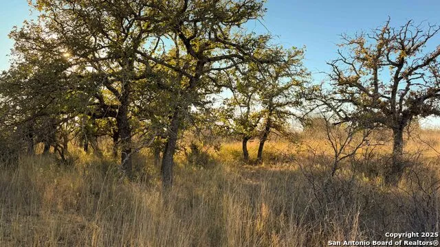 5040 W State Hwy 29 Mason, TX 76856