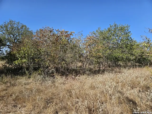 422 Pr Sunset Vista Somerset, TX 78069