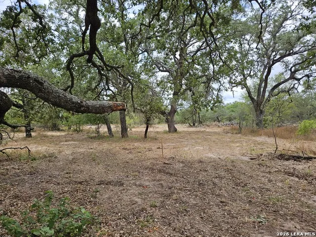 422 Pr Sunset Vista Somerset, TX 78069