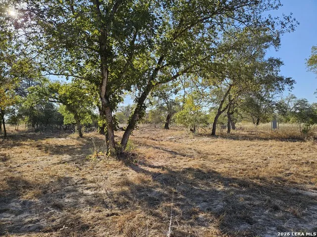 422 Pr Sunset Vista Somerset, TX 78069