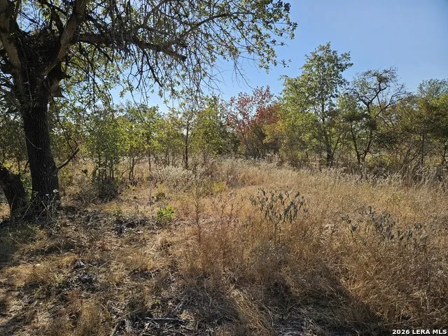 422 Pr Sunset Vista Somerset, TX 78069