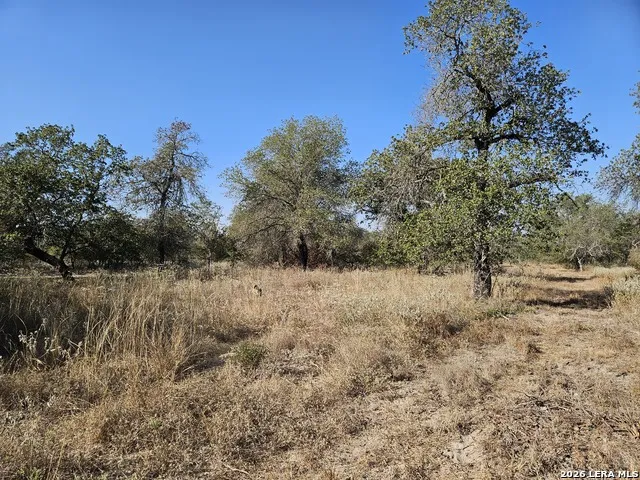422 Pr Sunset Vista Somerset, TX 78069