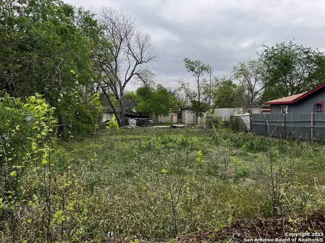 131 AMAYA San Antonio, TX 78237