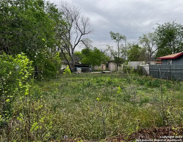 131 AMAYA San Antonio, TX 78237