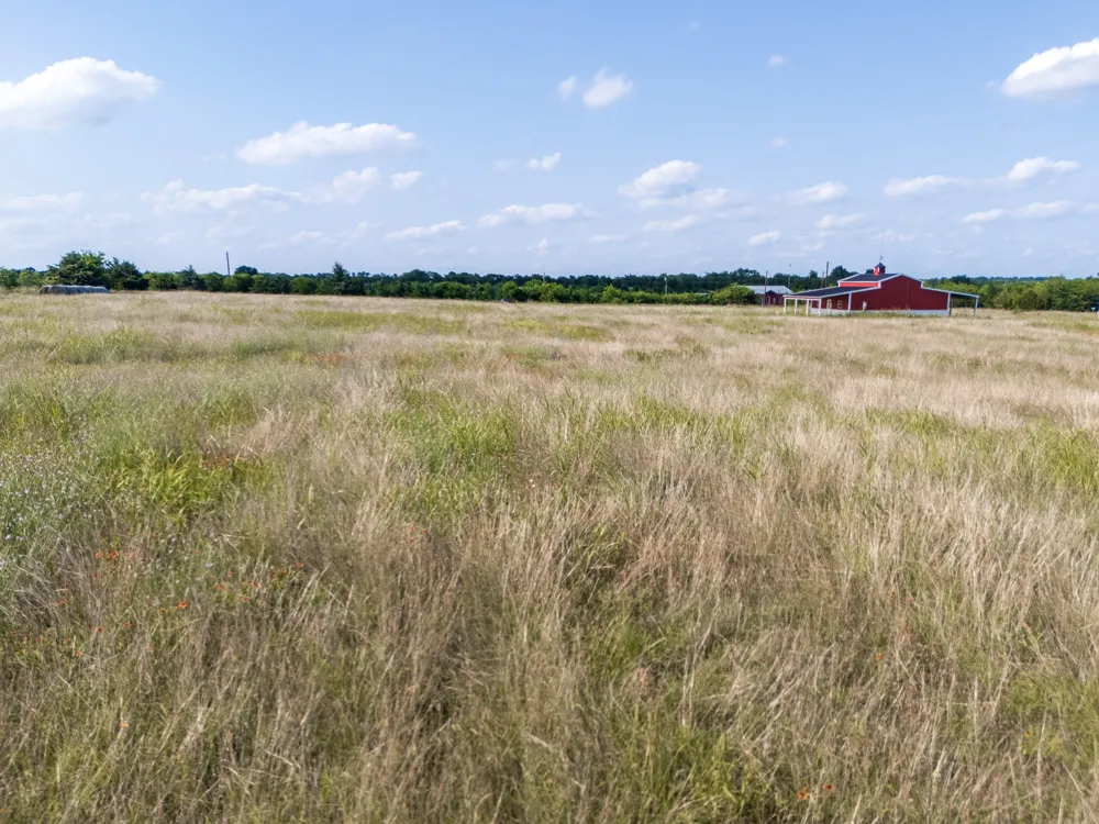 4 County Rd 501 Blue Ridge, TX 75424