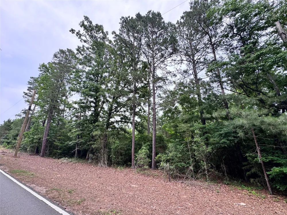 Plain Dealing Highway Plain Dealing, LA 71064