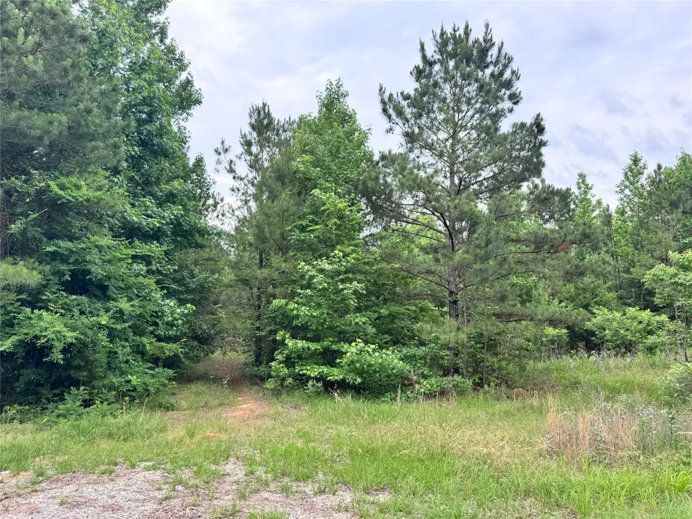 Plain Dealing Highway Plain Dealing, LA 71064
