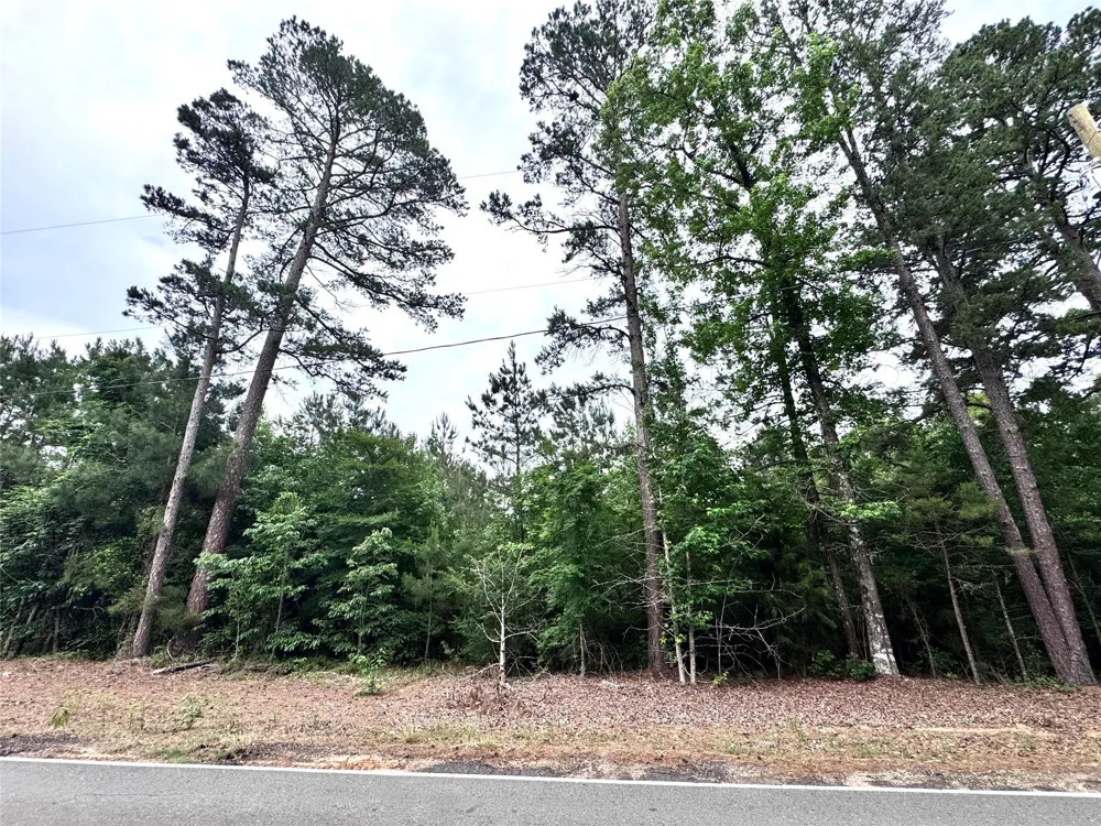 Plain Dealing Highway Plain Dealing, LA 71064