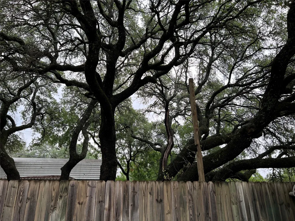 6960 Clifden Drive Brownwood, TX 76801