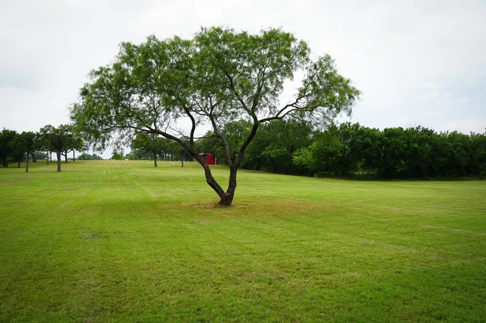1555 S Burleson Boulevard Burleson, TX 76028
