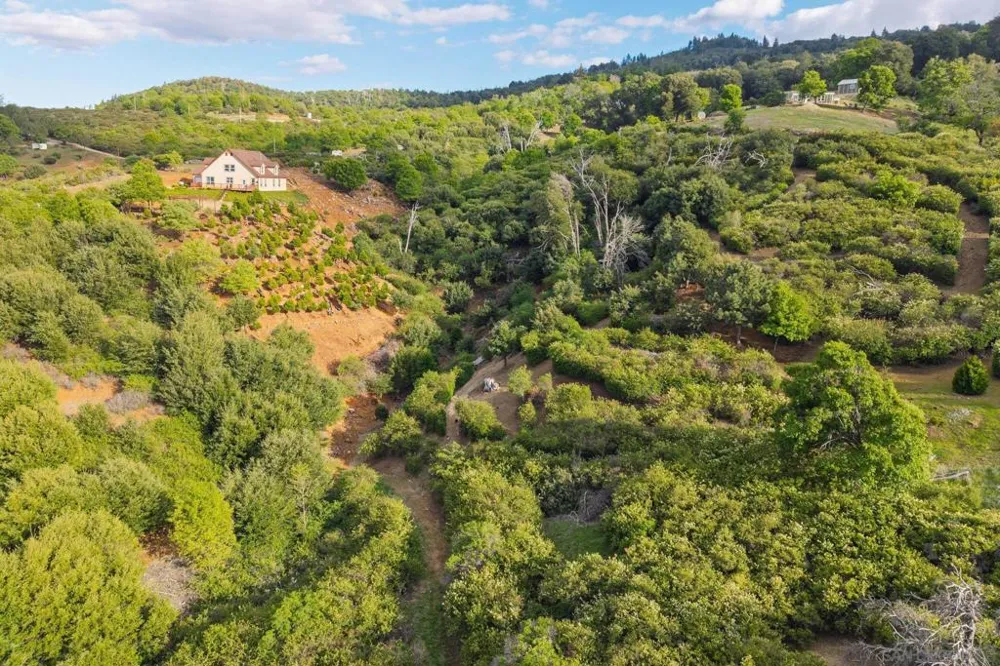 16913 Harrison Park Trl Julian, CA 92036