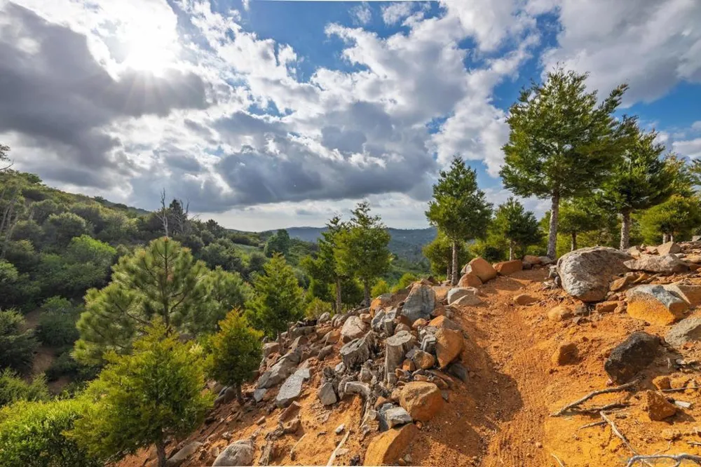 16913 Harrison Park Trl Julian, CA 92036