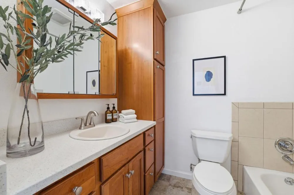 255 S Rengstorff Avenue #173 Mountain View, CA 94040