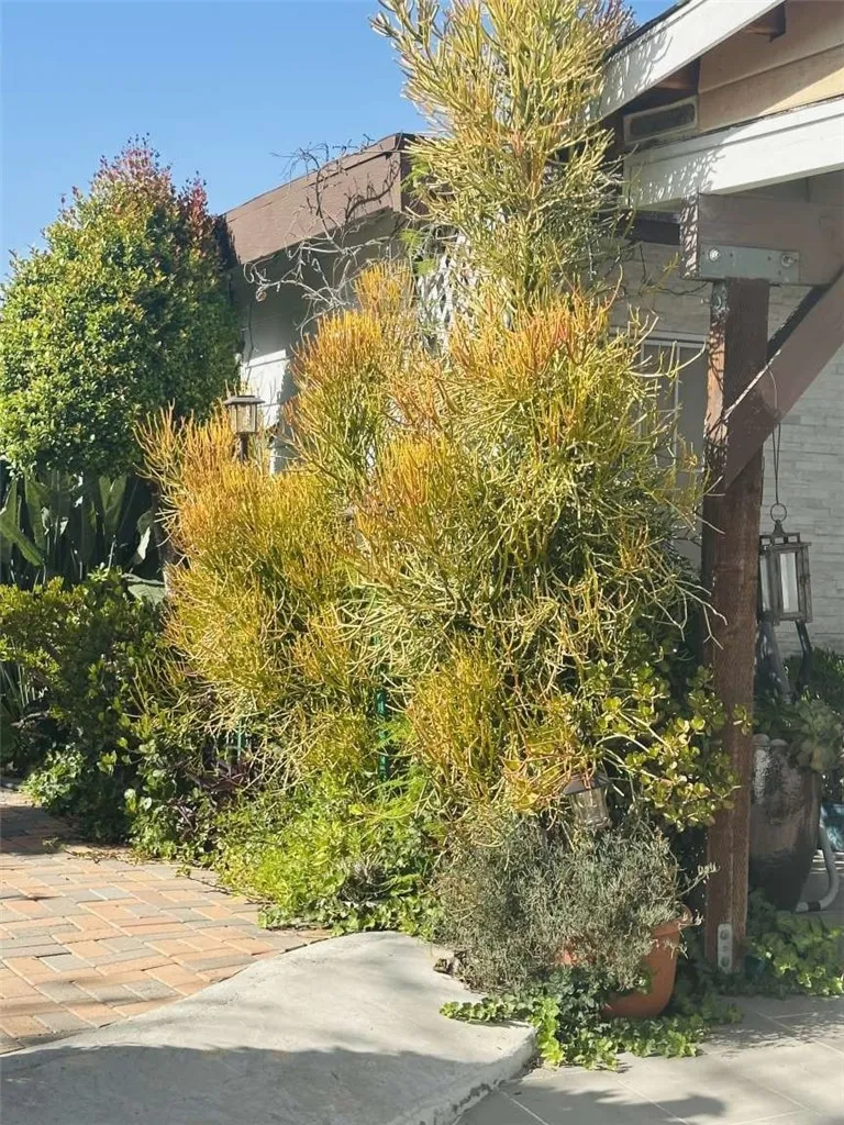2202 Paso Real Avenue Rowland Heights, CA 91748