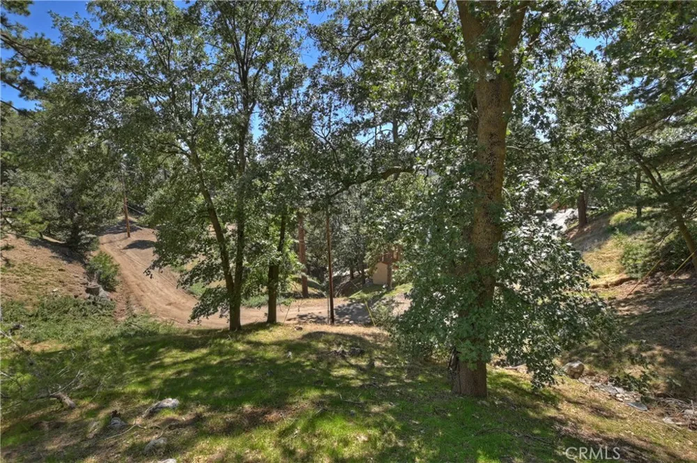 21510 Crest Forest Drive Cedarpines Park, CA 92322