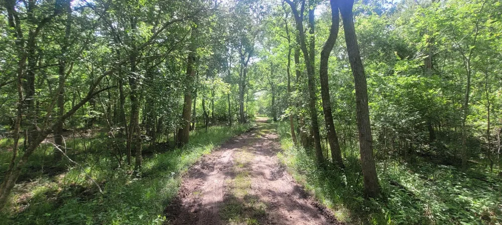 15025 Laguna Trail Needville, TX 77461
