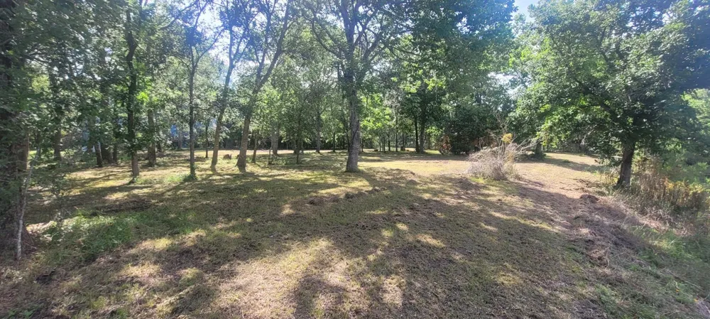 15025 Laguna Trail Needville, TX 77461