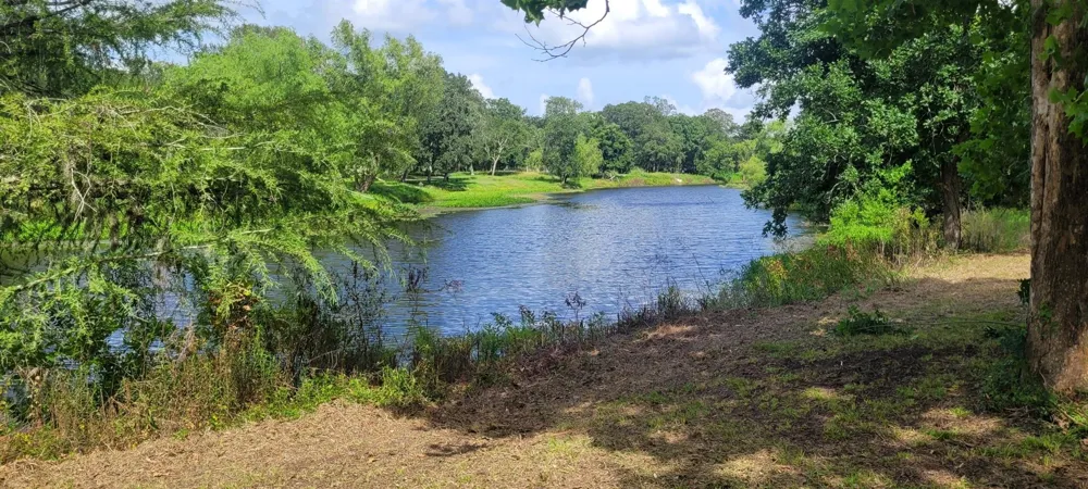 15025 Laguna Trail Needville, TX 77461