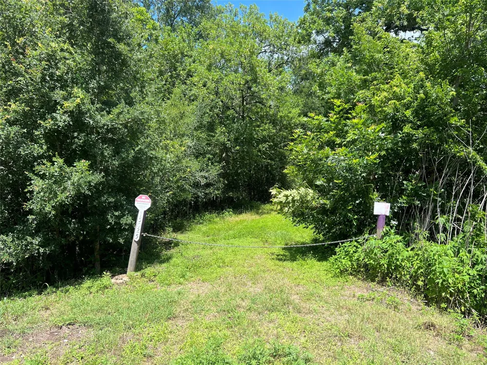 15025 Laguna Trail Needville, TX 77461
