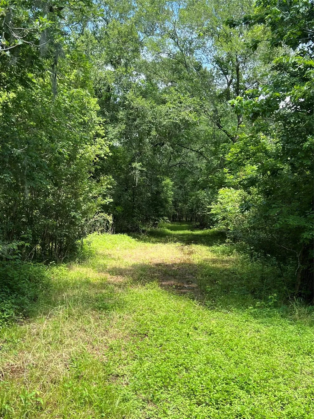 15025 Laguna Trail Needville, TX 77461