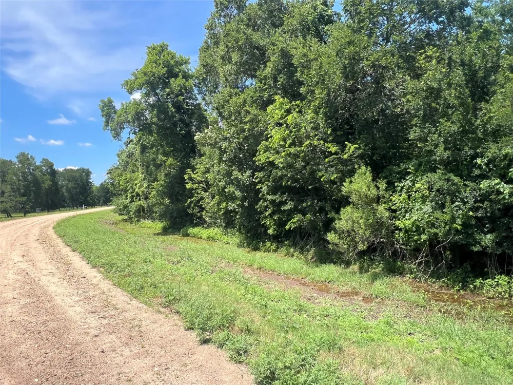 15025 Laguna Trail Needville, TX 77461