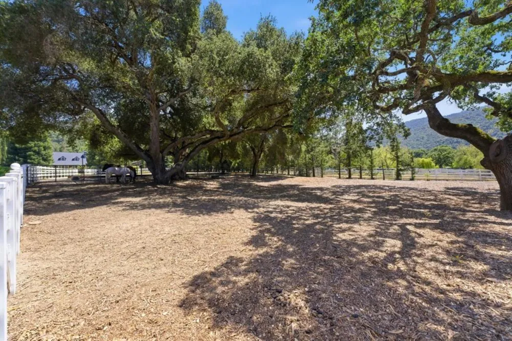 7 San Clemente Drive Carmel Valley, CA 93924