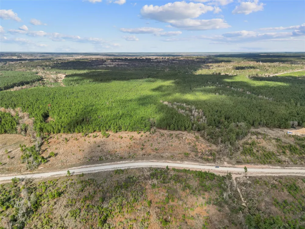 123 Lone Star Ridge Lovelady, TX 77578