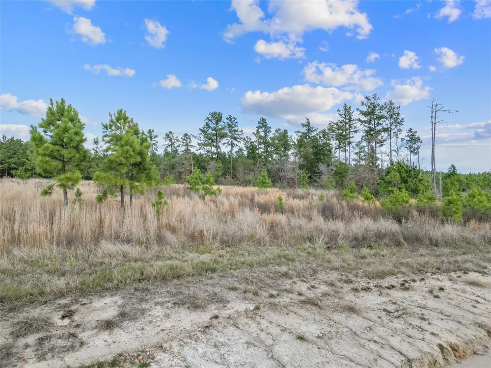 123 Lone Star Ridge Lovelady, TX 77578