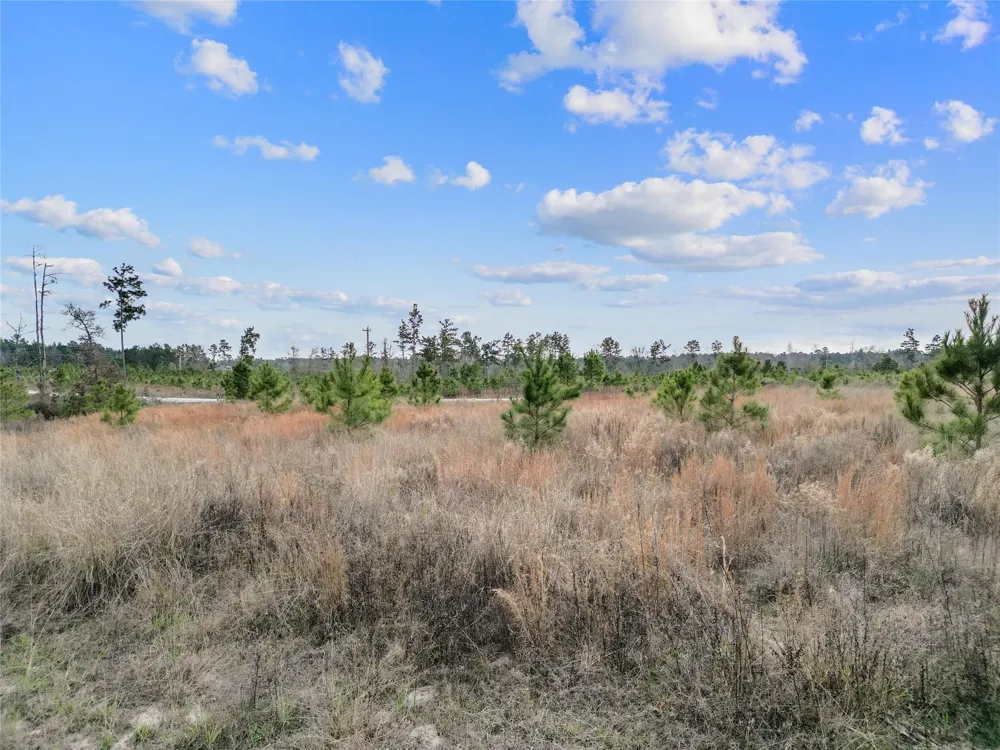123 Lone Star Ridge Lovelady, TX 77578