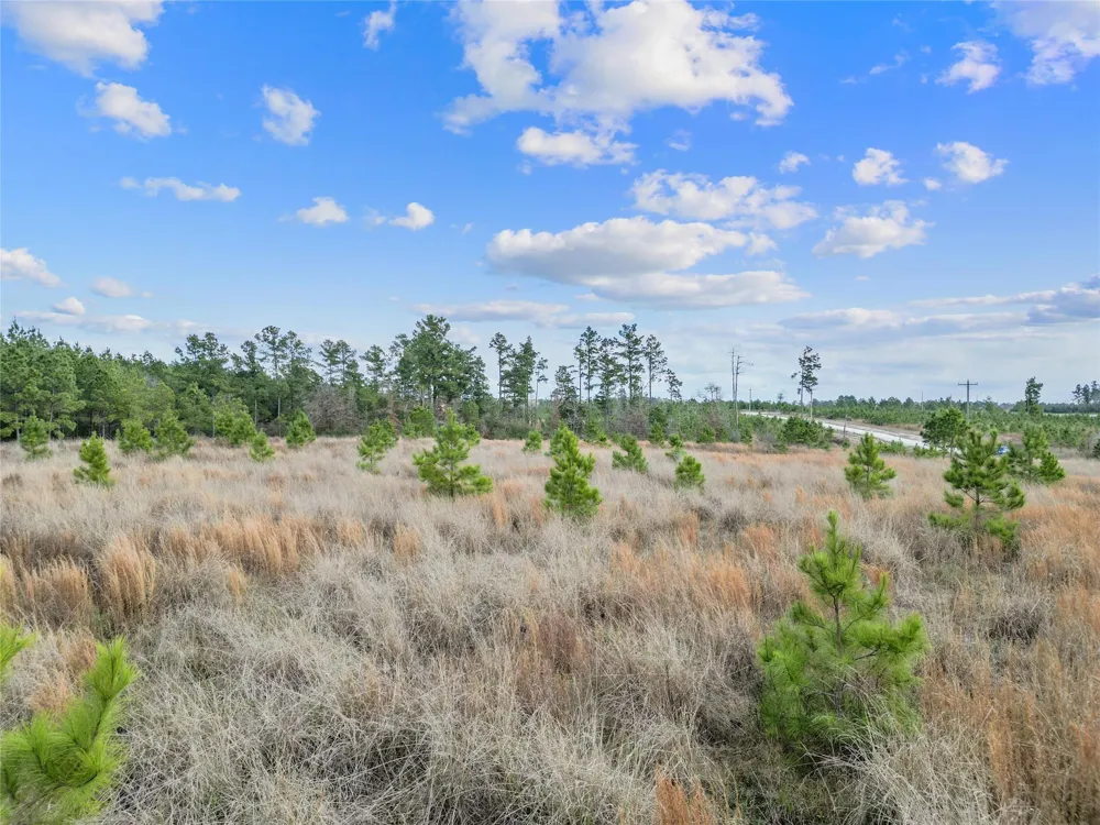 123 Lone Star Ridge Lovelady, TX 77578
