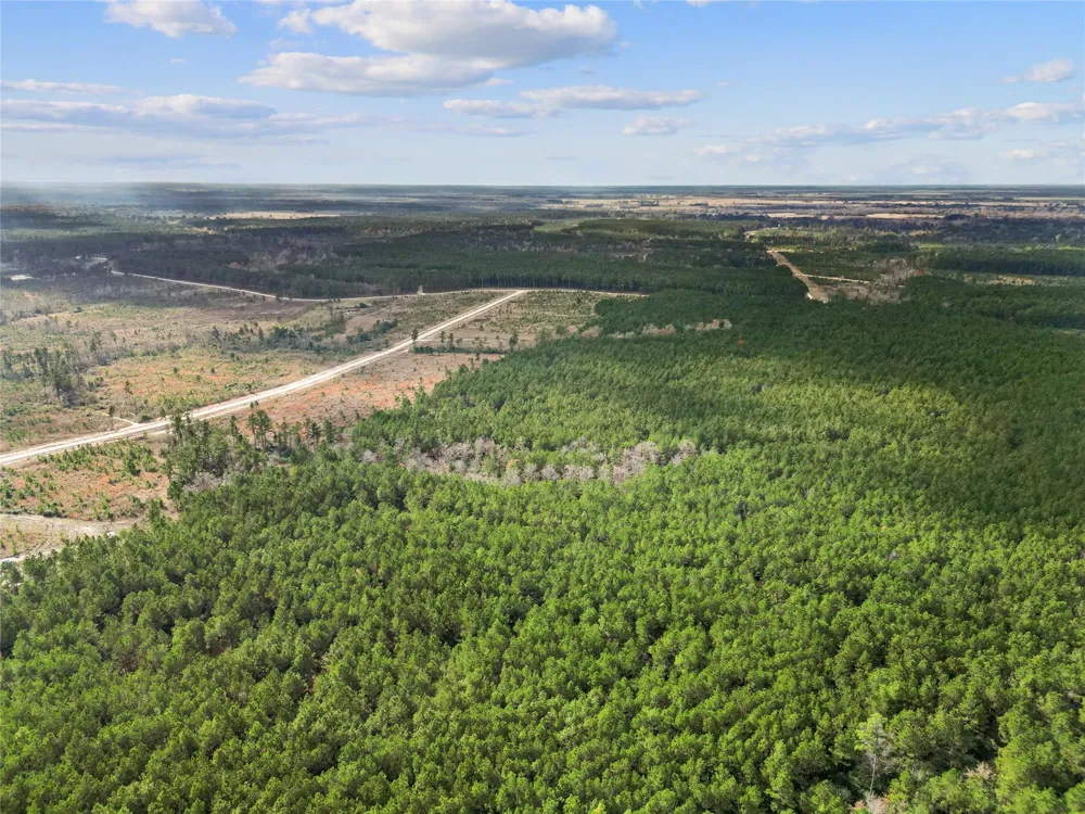 123 Lone Star Ridge Lovelady, TX 77578